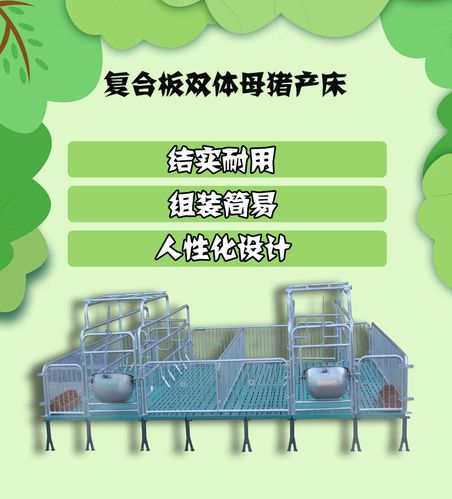 双体复合板镀锌母猪产床保育床定位栏限位栏养殖设备猪用产床分娩床